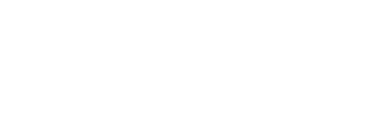 OpenSSF Best Practices baseline level 1 · SolonGate Agent Security